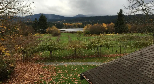 Номер Superior Kiwi Cove Lodge