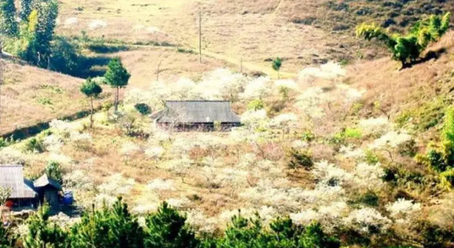 Hua Tat Stilt House