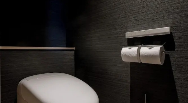 Двухместный номер Superior HOTEL GRANVIA HIROSHIMA SOUTH GATE