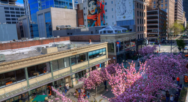 Кровать в общем номере (женский номер) Green Tortoise Hostel Seattle