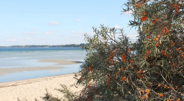Bungalow in Damshagen nahe der Ostsee, Забронировать Дом для отпуска Отели Дамсхаген с парковкой, Парковка
