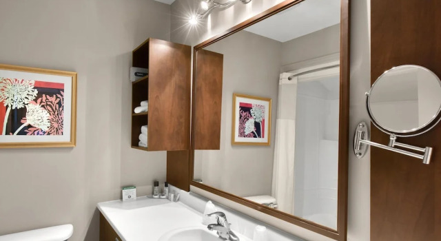 Двухместный номер Standard Цокольный этаж Hotel Le Versailles