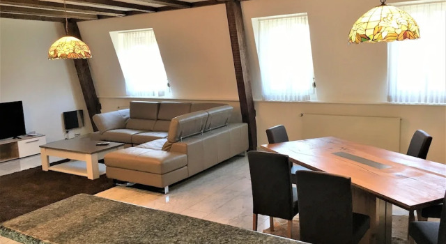 Апартаменты Executive с 2 комнатами с балконом Ariba Aparthotel
