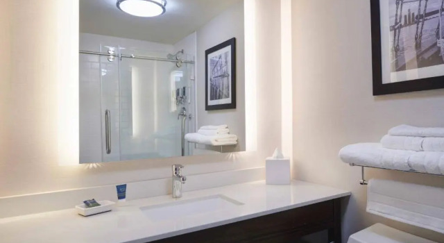 Двухместный люкс c 1 комнатой с видом на город Four Points by Sheraton Detroit Novi