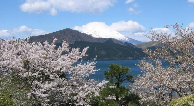 Вилла Superior Taisho Modern Villa Zen