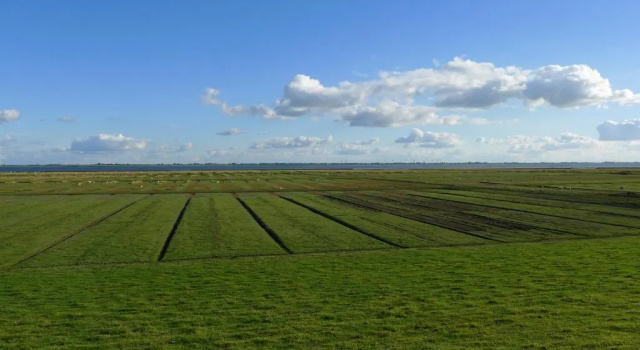Ferienwohnungen Engelmühle, Забронировать Отель Нордстранд Nordfriesland