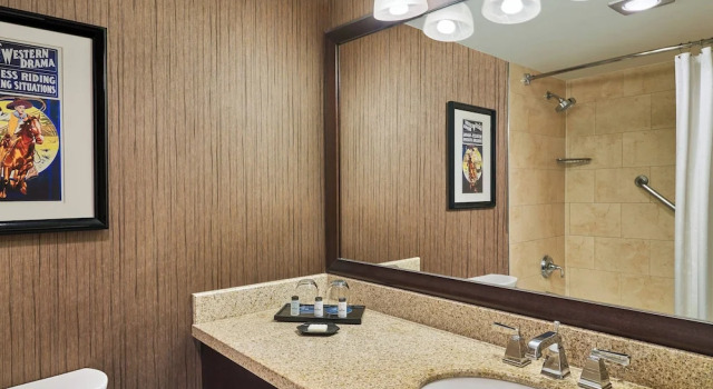 Двухместный люкс Club Level семейный Bi-Level Sheraton North Houston at George Bush Intercontinental