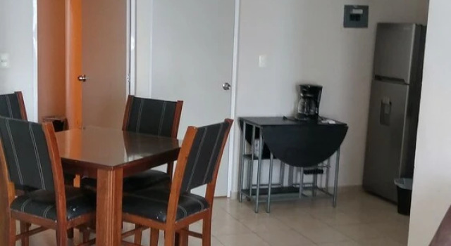 Flor de Mentas Apartment, Rezerwuj Apartament Playa del Carmen Quintana Roo