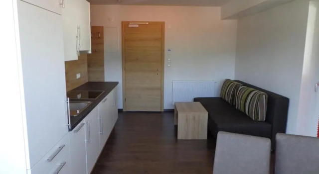 Апартаменты с 2 комнатами с балконом Ladis Living