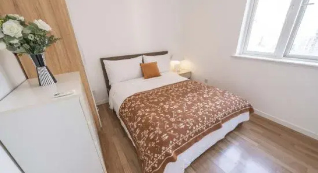Люкс с 2 комнатами Shanghai city center Residence in xujiahui