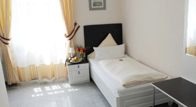 Одноместный номер Economy Hotel Am Schloss Biebrich