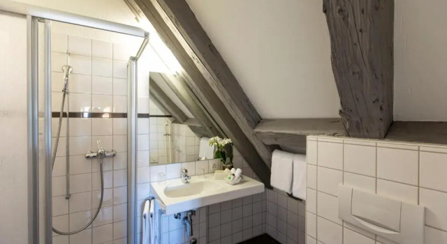 Двухместный номер Standard Boutique Hotel Römerhof - Charme und Genuss am Bodensee