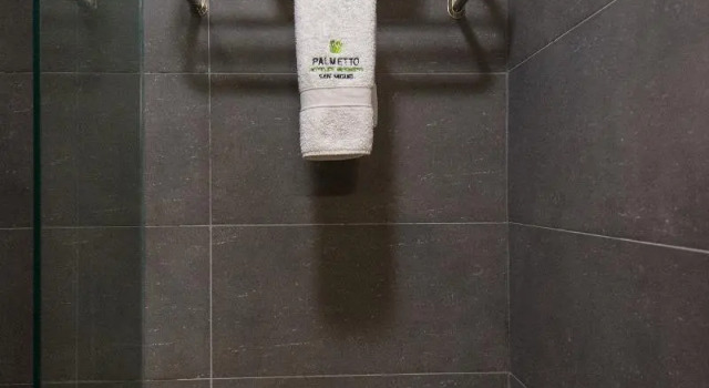 Двухместный номер Standard Palmetto Hotel Business San Miguel