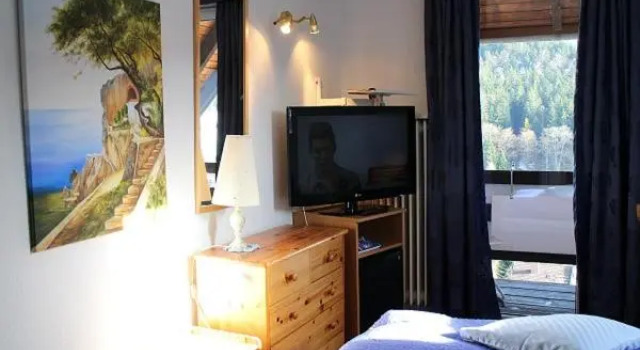 Одноместный номер Standard с балконом Hotel-Pension Thomé