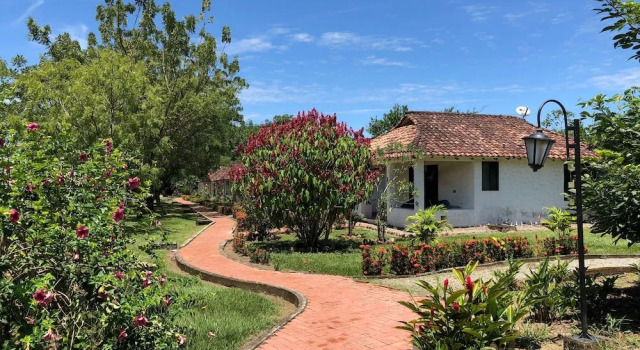 Бунгало Business Hotel Campestre Arboretto