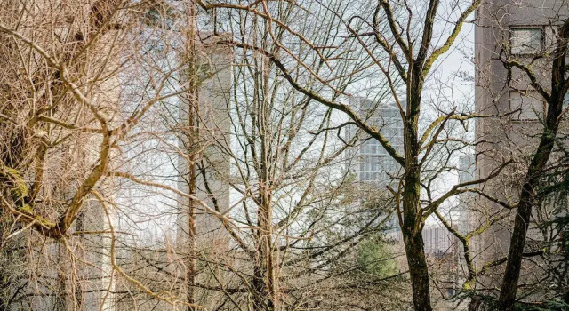 Stylish Minimalism in Kirchberg