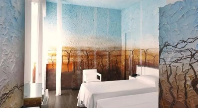 Номер Deluxe Hotel Alexander Museum Palace