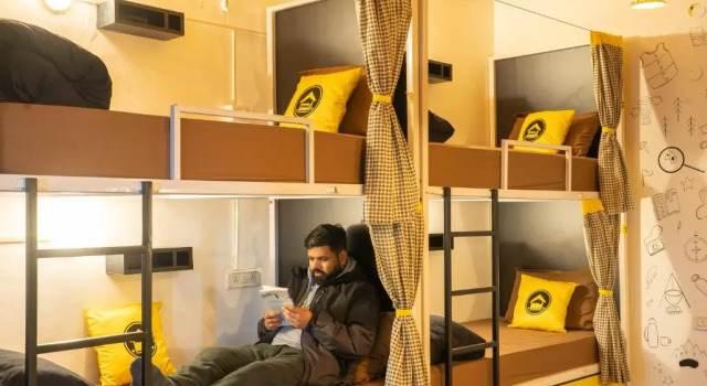 Кровать в общем номере Lushtree Backpackers - Hostel & Cafe