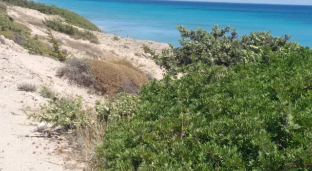Stellasalentina, Book Hotel Manduria Salento