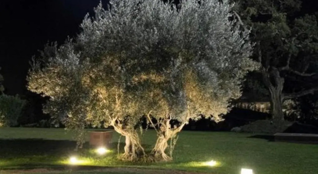 Коттедж Casa dei Limoni by SicilyMyHome
