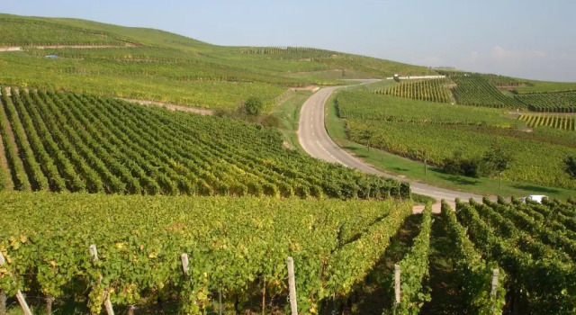 Коттедж Gite Du Vigneron