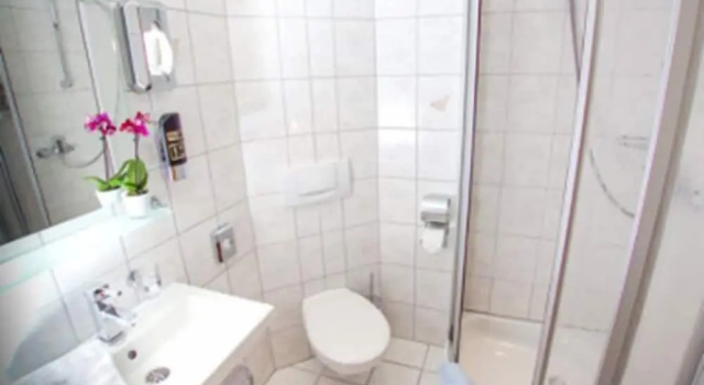 Одноместный номер Standard Hotel Traube Lossburg
