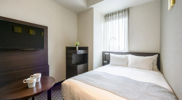 Akihabara Washington Hotel