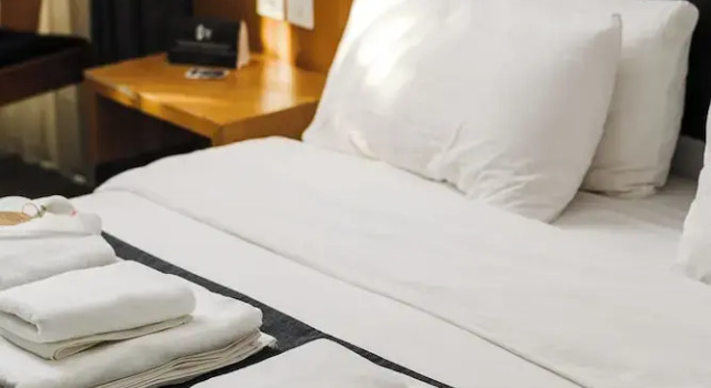 Deluxe dobbelt værelse med haveudsigt Ingate Suite Hotel
