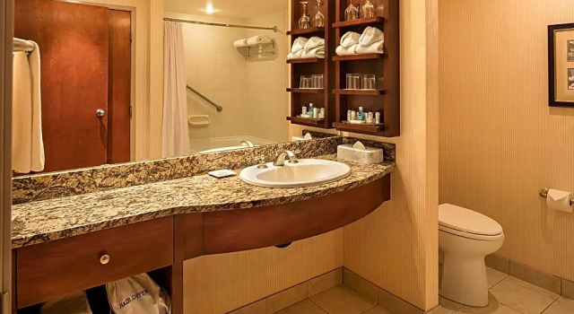 Двухместный полулюкс Deluxe Royal Canadian Lodge