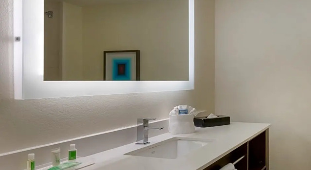 Двухместный люкс Delta Hotels by Marriott West Palm Beach