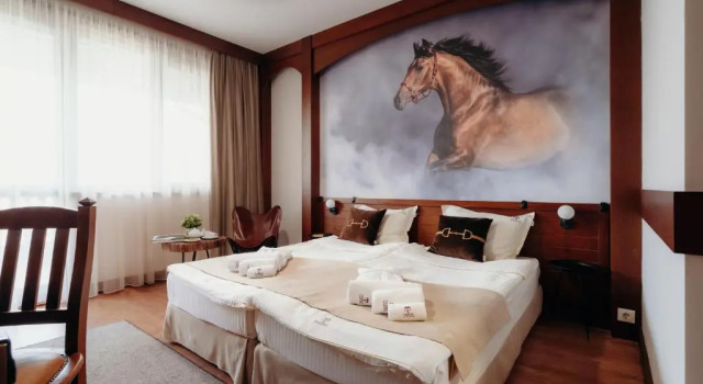 Номер Standard Boutique Complex Trakiets