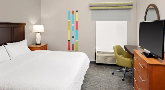Двухместный номер Hampton Inn & Suites Houston-Medical Center-NRG Park