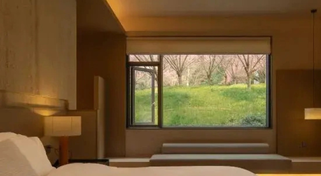 Люкс Deluxe Hayama Pagoda Villa