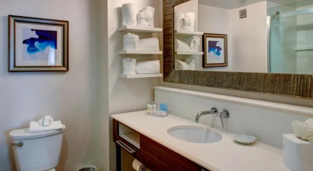 Двухместный номер Accessible Hampton Inn & Suites Orlando-East UCF