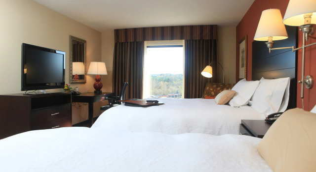 Hampton Inn Atlanta-Canton