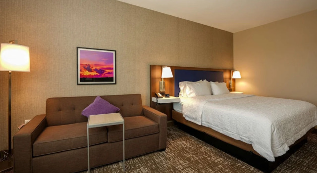 Двухместный люкс Hearing Accessible Hampton Inn & Suites Aurora South, Co