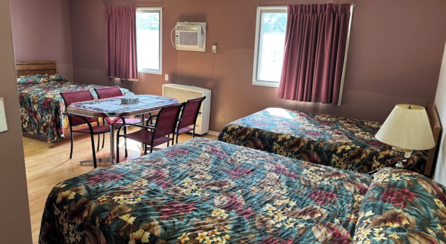 Номер Deluxe Viking Lamplighter Motel