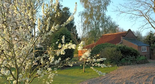 Field Cottage Bed and Continental Breakfast, Buchen Sie Ferienhaus East Harling Norfolk (Grafschaft)
