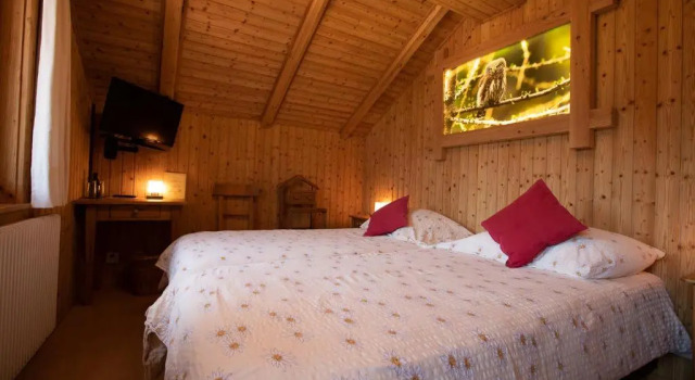 Двухместный номер Standard Hotel de Moiry Supérieur