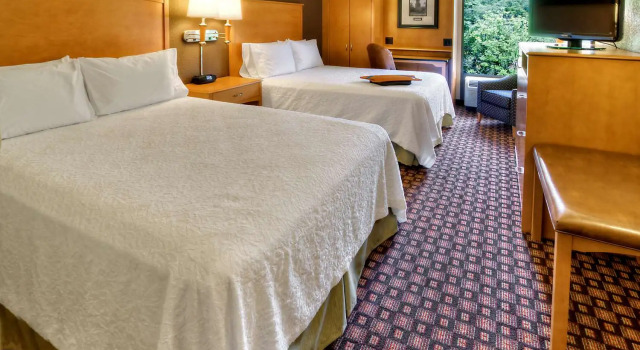 Четырёхместный номер Standard Hampton Inn Nashville/Brentwood-I-65S