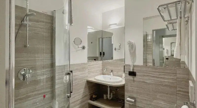 Одноместный номер Hotel Regina