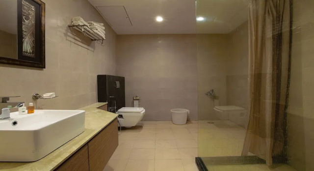 Номер Standard Hotel Santosh Dham