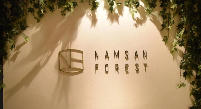 Номер Standard Namsan Forest in Myeongdong