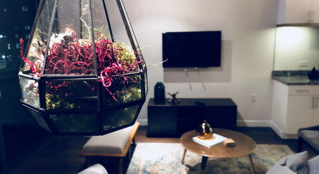 New Lyfe Finest Luxury Apartment