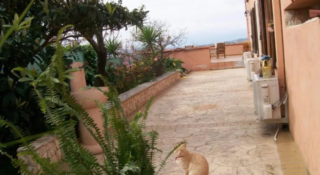 Номер Deluxe B&B Villa Sul Golfo