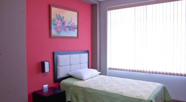 Одноместный номер Standard с красивым видом из окна Plaza Sur Hotel & Suites