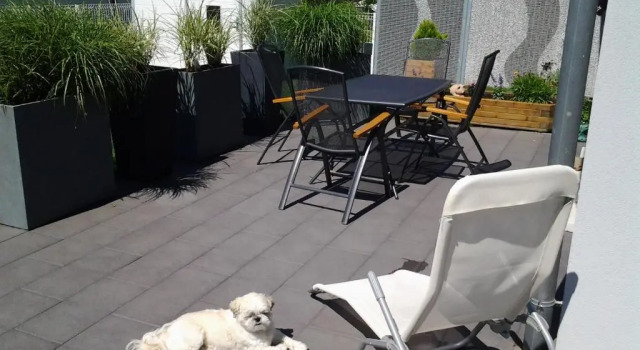 Standart oda La Maison De Romeo