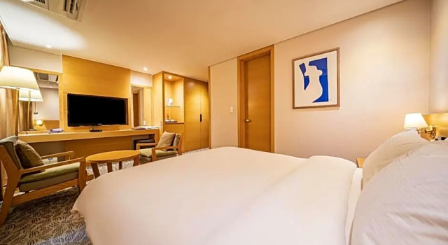 Двухместный номер Deluxe Hotel Biz Inn