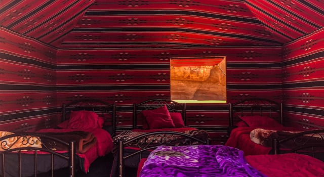 Desert Bird Camp