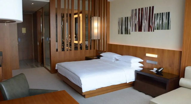 Двухместный номер c клубным доступом Deluxe Hyatt Regency Changchun